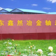 临清市鑫然轴承有限公司